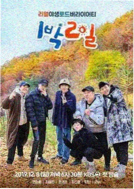 阿衰头像裁切适配指南配图